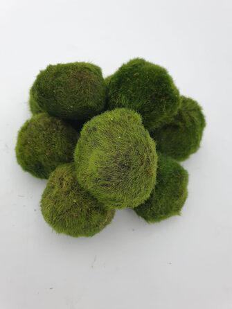 Великі кульки з моху 3 шт. и приблизно 6-7 см 1 нано кулька з моху 1-2 см