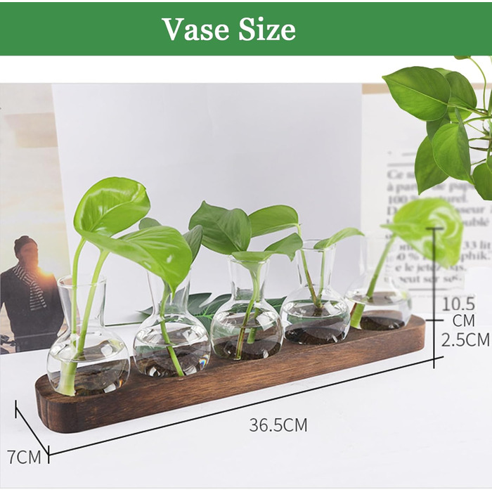 Квіткова ваза Cyiecweu Вінтажні маленькі вази для прикраси столу, станція розмноження рослин для вітальні, сучасні скляні пробірки для квітів з підставкою з дерева, прикраса гідропоніки на відкритому повітрі на день народження 36,5 см