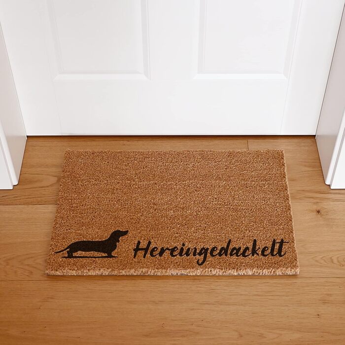 Килимок для дверей Interluxe Coconut - Here Comes the Dog - Килимок для дверей з мотивом собаки - чудовий подарунок для власників собак (40 x 60 см)