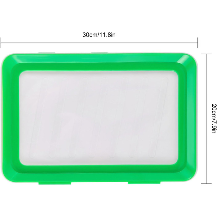 Коробка для шинки, для холодильника, зберігання шинки, холодильник, комплект із 4 контейнерів, для зберігання продуктів, ідеально підходить для кемпінгу, вечірок, сімей (30 x 20 см)