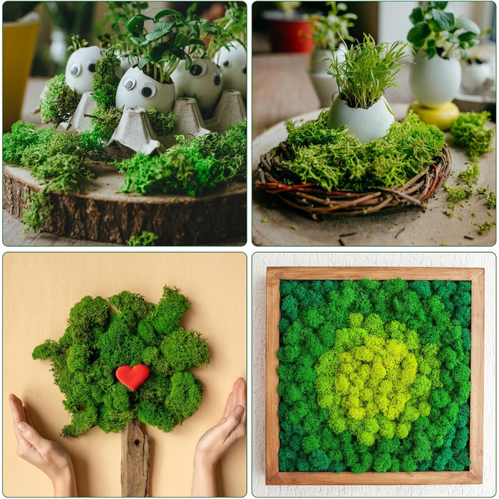 Ісландський мох, консервований мох, декоративний мох для рукоділля, картина з моху, виготовлення моделей, художній мох, натуральний консервований мох у 6 кольорах (240 г), натуральне багаторазове листя моху для декору, виготовлення моделей, прикраса для д