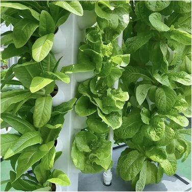 Система гідропонного вирощування. Система гідропонного вирощування. Вертикальна вежа для гідропоніки. Садовий набір. Система аеропонного вирощування. Рамка для посадки фруктів, овочів, трав, білий набір для гідропонного вирощування.