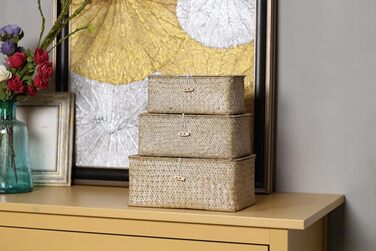 Кошик для зберігання морської трави з кришкою, плетена прямокутна ротангова скринька ручної роботи для іграшок, одягу, книг, ключів, органайзера для макіяжу, набір з 3 полиць-кошиків