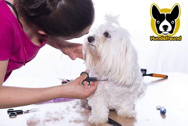 Набір ножиць для собак Hundefreund з філіровочними ножицями для догляду за шерстю Ножиці з нержавіючої сталі із заокругленими кінчиками для грумінгу собак