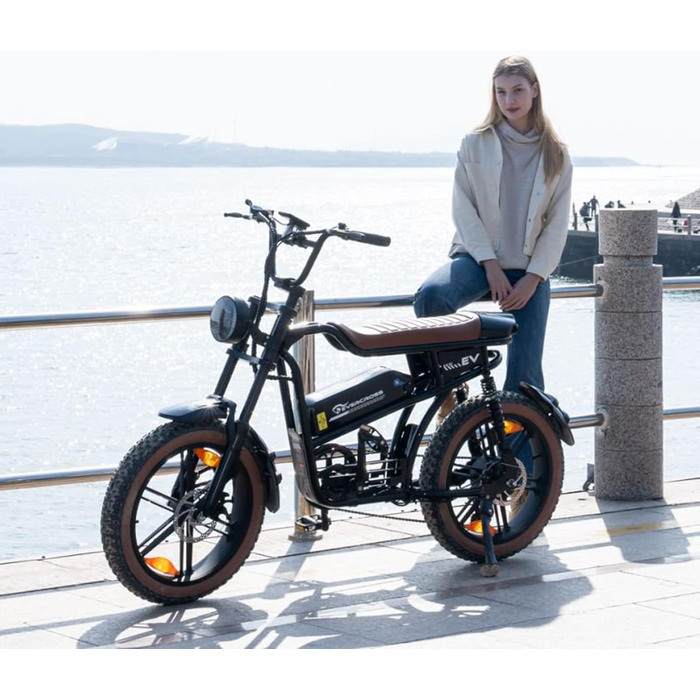 Електричний велосипед EVERCROSS для дорослих, 250 Вт, шини 16&quot/20&quot x 4.0 Fat, швидкість до 25 км/год та запас ходу 60-100 км, знімний акумулятор 36V/48V, гірський, сніговий, позашляховий електровелосипед EK30 чорного кольору - макс. 100 км