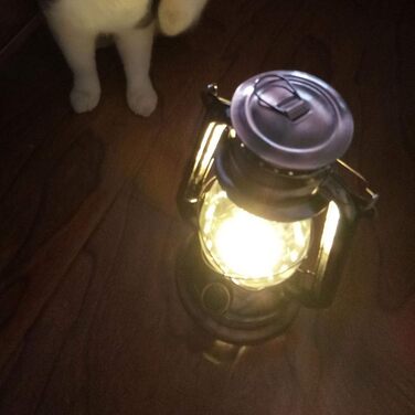 Вінтажна світлодіодна лампа, ліхтар, енергозберігаючий, ручний ліхтарик з підвісним гачком, для використання на свіжому повітрі, в кемпінгу та вдома.