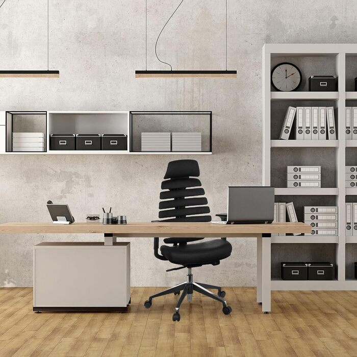 Офісне крісло Ergo LINE II PRO, 71 x 45 x 60 см, натуральна шкіра / алюміній, чорний