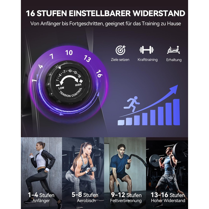 Новинка 2026 року Магнітний гребний тренажер DMASUN для домашнього використання з оновленими подвійними рейками, підключенням до додатку, 16 рівнями опору, РК-дисплеєм даних, ідеально підходить для кардіотренувань, витримує до 160 кг, чорний/сріблястий