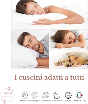 Подушка DREAM HAVEN з піни з ефектом пам&39яті з чохлом з алое вера, для шиї та ортопедичної подушки для ліжка, антикліщова та гіпоалергенна (пара бамбука, 1) 1 пара бамбука