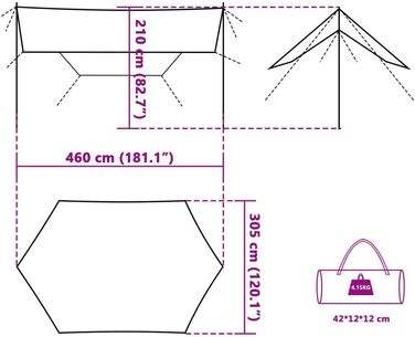 Тент для кемпінгу Тент для кемпінгу 460 x 305 x 210 см (42 x 12 x 12 см) Синій