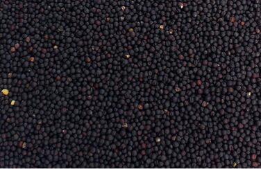 Подушка для шиї для шийного відділу хребта - шия плечі спина - зоряно-синя - ріпакова подушка - грілка для шиї