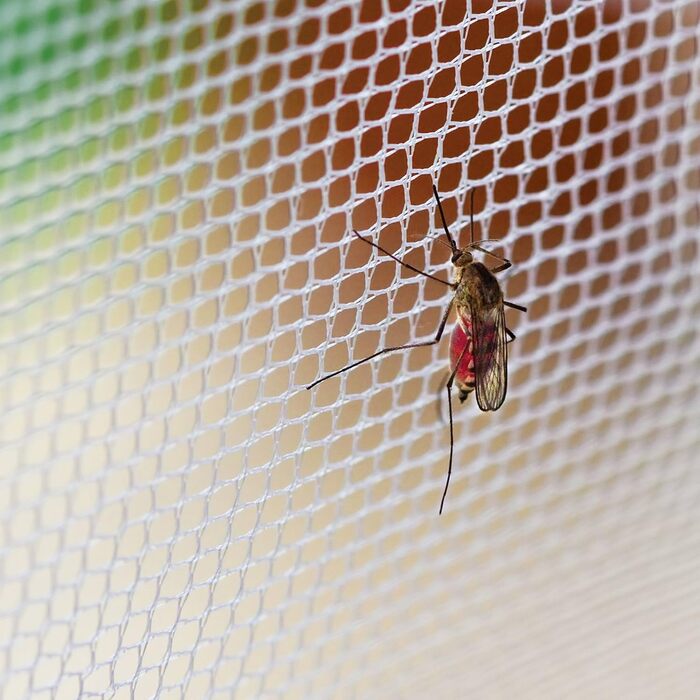 Москітна сітка Alpine Grand Premium Спіть краще, ніж будь-коли, знаючи, що ви всю ніч без комах Односпальне ліжко, двоспальне ліжко, ліжечко, гамак або кемпінг Включає комплект для підвішування та рюкзак-сумку для перенесення