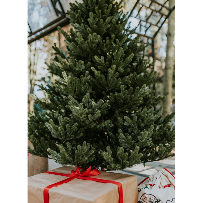 Штучна різдвяна ялинка преміум-класу 180 см TreesHouse