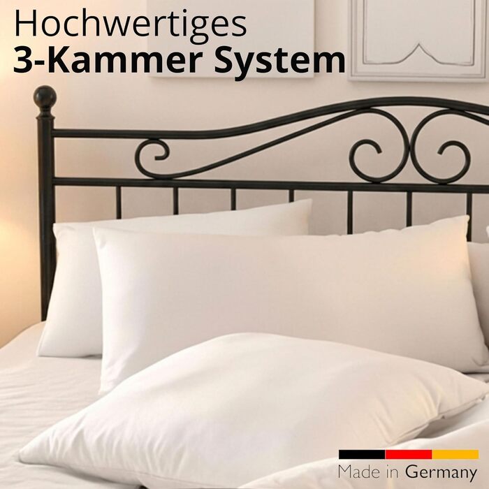 Пухова подушка, виготовлена в Німеччині, 80x80 3-камерна подушка 80x80, пух та пір&39я Гіпоалергенна подушка Сертифіковано для тварин (DOWNPASS) Oeko-TEX Клас 1 Комплект пір&39яних подушок з 1 предмета 80x80 см