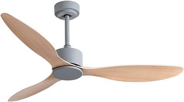 Вентилятори Стельовий вентилятор змінного струму Пульт дистанційного керування Кухонний вентилятор 220 В Настінний вимикач Стельов