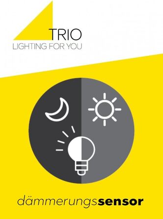 Садовий світильник Trio Ardila 411660135, литий алюміній під дерево, прозоре скло, з датчиком сутінків, 100 см, без лампи ( E27)