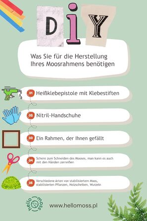 Мох Hello Moss для крафта - набір, що складається з 6 кулькових мохів ісландського моху, 1 пластинчастого моху, стабілізованого амаранту та японського кореня - збережений живий мох - набір DIY із зображенням моху (середньозелений)