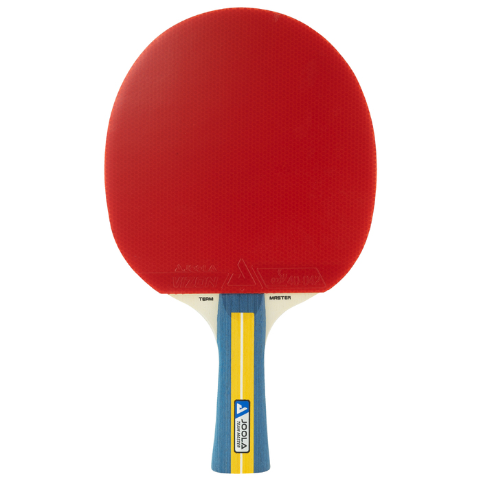 Набір для настільного тенісу Joola Team Master Pro 2 Bats 3 Balls (52001-1)
