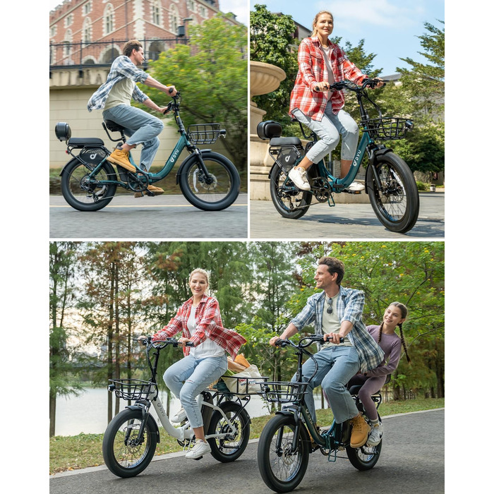 Електричний велосипед DYU C9 E-Bike для чоловіків та жінок - Електровелосипед з акумулятором 48 В 15,6 Аг, колесами 20 x 3,0 дюйма, 7-ступінчастою коробкою передач зі світлодіодним дисплеєм, двигуном 250 Вт та швидкістю 25 км/год, запасом ходу до 150 км, 