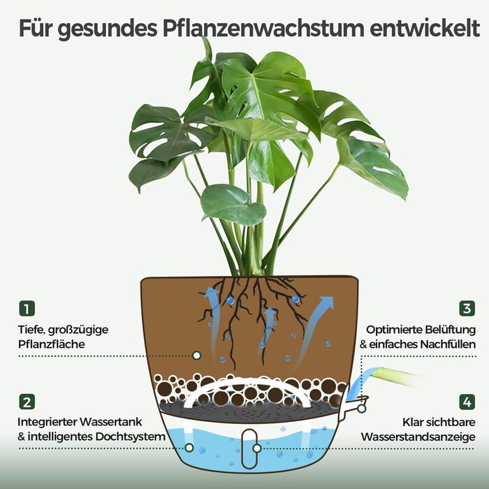 Набір з 2 предметів T4U, самополивний квітковий горщик 20 см з глибоким резервуаром для води, для зелених рослин, великий квітковий горщик для приміщень та вулиці, також підходить як велике кашпо для вулиці, чорний, 20 см