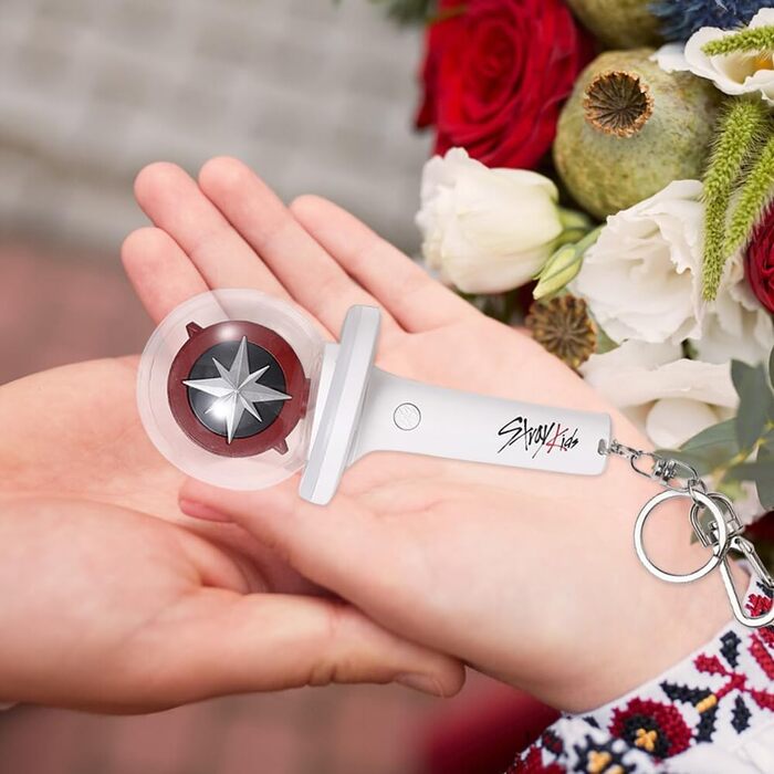 Міні-світлова паличка Stray, брелок Stray, міні-світлова паличка з регульованою швидкістю та кольором SKZ, подарунки Kpop для STAY