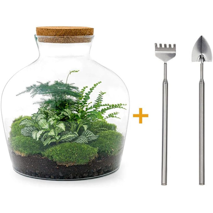 Пляшковий сад Рослини в скляній банці зі світлом 30 см - DIY - Terrarium Complete Set - Тераріум для рослин - urbanjngl Комплект тераріуму (Товстий Джо Грін)