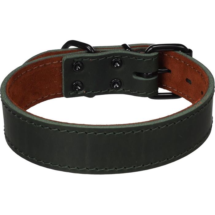 Нашийник для собак Montana Зелений M/L 39,5-49,5 см 35 мм