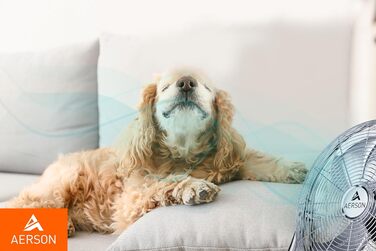 Підлоговий вентилятор TRESKO AERSON 40 см вітряк з 3 рівнями потужності вентилятор на п'єдесталі висока швидкість потоку повітря м