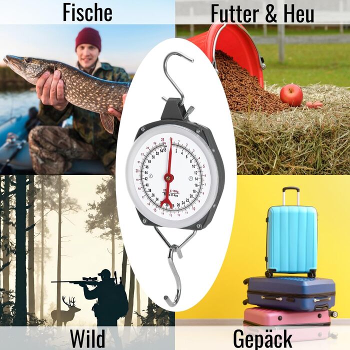 Швидкі ваги зі стрілкою, ваги з ударостійким металевим корпусом та передньою частиною з плексигласу, включаючи два гачки з нержавіючої сталі, 100 кг, 103108