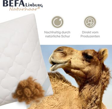 Подушка BEFA NATUR з верблюжої шерсті 40x80 см, наповнювач 100 верблюжа шерсть, бавовняний чохол, Oeko-TEX клас 1, виготовлена в Німеччині, гіпоалергенна