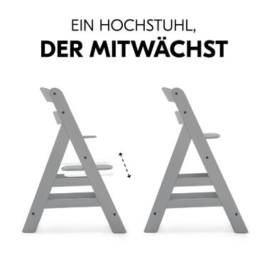 Стільчик для годування hauck Alpha для дітей від 6 місяців до 90 кг, вкл. поперечину безпеки, 5-точкові ремені безпеки та паховий