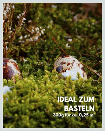 Пластинчастий мох довго зберігав природний зелений Декоративні стінові мохові панелі довговічні Картина з моху своїми руками зроби сам Килимок із натурального зеленого моху, 300 г, Living in Green