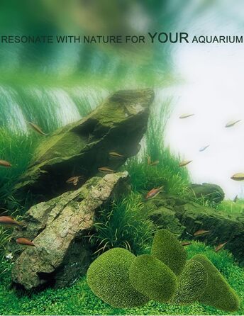 Набір мохових кульок ZLXHDL із 5 шт. прикраса зі штучного моху, декоративні мохові кульки різних розмірів, зелені флоковані камені для акваріумів та різноманітні прикраси