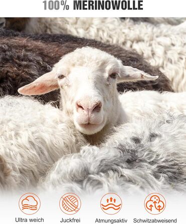 Чоловічий комплект білизни зі 100 мериносової вовни, м&39яка зимова термобілизна, тепла лижна білизна з мериносової вовни, сорочка з довгими рукавами та штани (розміри M-XXL) XL 250 г/м Чорний