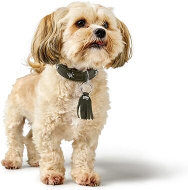 Нашийник для собак HUNTER Мюнхен, колір зелений/коньяк, шкіра, вишукані деталі в традиційному стилі, м'який та міцний, дбайливий до шерсті, розкішний, екологічно чистий, стійкий, виготовлено в Німеччині, розмір 32 зелений/коньяк 32