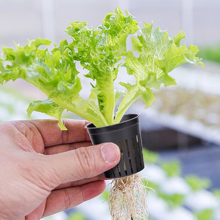 Набір сіток для гідропоніки з 76 шт. - 20 чашок для горщиків 2 дюйми (5 см) із сіткою з прорізами, 36 пакетів для вирощування мінеральної вати, 20 шт. самополивного бавовняного гнітового шнура для гідропоніки