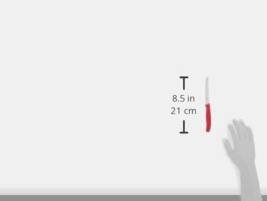 Ніж столовий - Ніж кухонний - Ніж для рулету Швейцарський класичний із зазубреним краєм - Швейцарського виробництва - Мультиколор