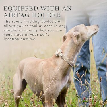 Нашийник для собак Nina Woof Cupertino, з екошкіри, м'який та регульований, з кріпленням для трекера, Бежевий, Розмір XS (обхват шиї 23-30 см)