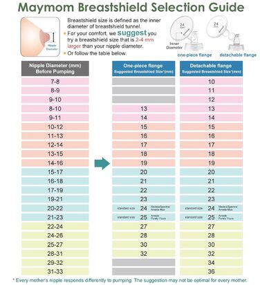 Деталі насоса Maymom працюють із Spectra Spectra S1 S2, фланцевий клапан для захисту труби пляшки від зворотного потоку, аксесуари