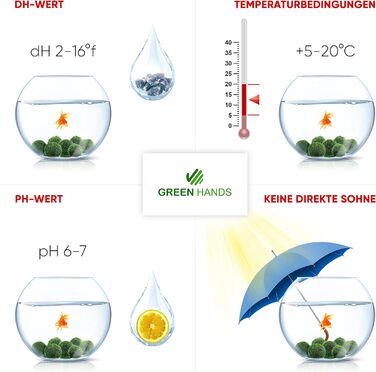 Ук моху, акваріумний мох, справжні мохові кульки для акваріумів, справжня кладофора, натуральні водні рослини для нано- та великих акваріумів, екологічно чисті та стійкі розміри кульок Marimo Moss Balls. 2-3 см, 1