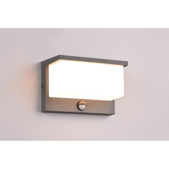 Стічний LED-світильник Trio Leuchten Nestos 240969142, алюміній (антрацит), білий пластиковий плафон, 13 Вт, з датчиком руху