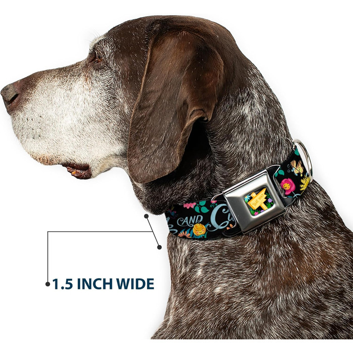 Нашийник Buckle-Down, застібка типу автомобільний ремінь, колекція Квіти Аліси в Країні Див, багатокольоровий, ширина 2,5 см, для обхвату шиї 27,943,2 см, розмір M (DC-WDY300-M). Ширина 2,5 см - підходить для обхвату шиї 27,9-43,2 см - Розмір M. Колекція 