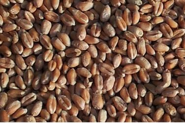 Рожева подушка для шиї зі стійкою - подушка з зерна - грілка для шиї - дуже затишна грілка для шиї - пшениця