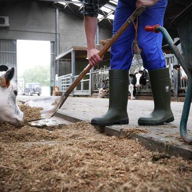 Легкі водонепроникні захисні черевики Bekina Agrilite Steplite Easygrip S5 для чоловіків та жінок, сталевий носок та сталева підошва, сільськогосподарські робочі черевики з нековзною підошвою, зелені, EU 41