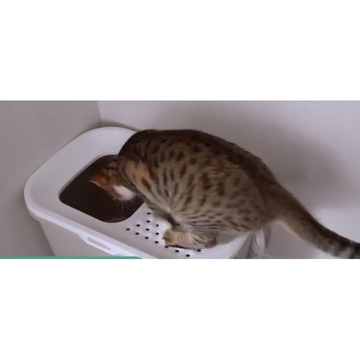 Котячий лоток &39Hop In&39, сірий антрацит / білий, 58,5 x 39 x 39,5 см
