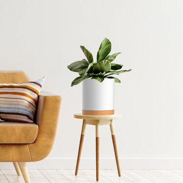 Набір з 5 квіткових горщиків з блюдцями, 17,8/15,2/14/12,7/10,2 см, пластикові кашпо, гідропонні горщики, набір квіткових горщиків, ідеально підходить для кімнатних та балконних садів, білий з коричневим підносом 765,554 дюймів (5 шт.) білий, коричневий п