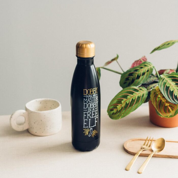 Термос Grupo Erik Dobby з нержавіючої сталі 500 мл - Спортивна пляшка для води 500 мл - Дитяча пляшка для води - Товар для фанатів Гаррі Поттера, кобальтовий