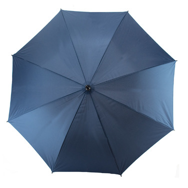 Парасолька Semi Line Blue (L2037-1)