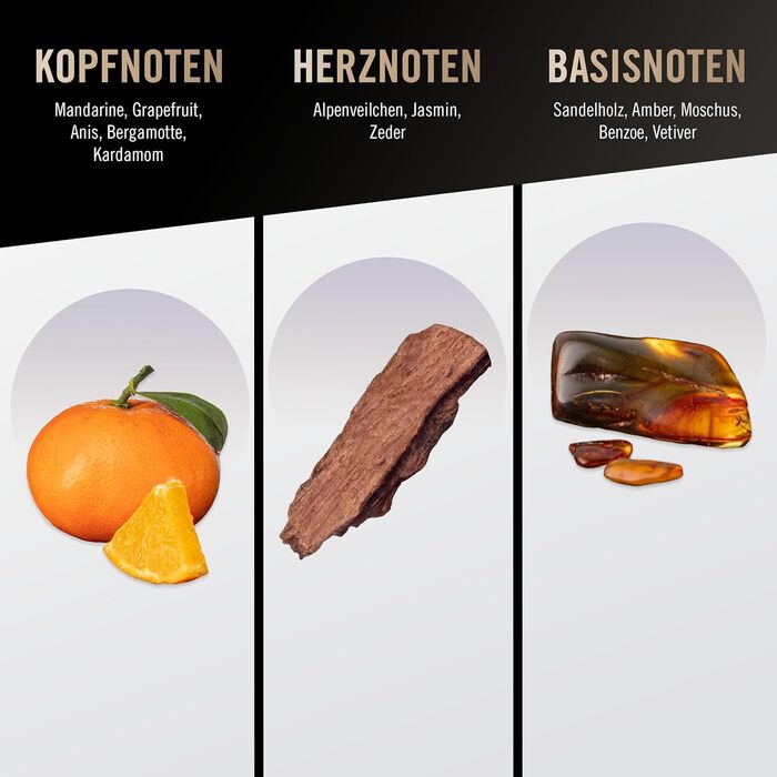 Туалетна вода Bruno Banani Pure Man (50 мл)