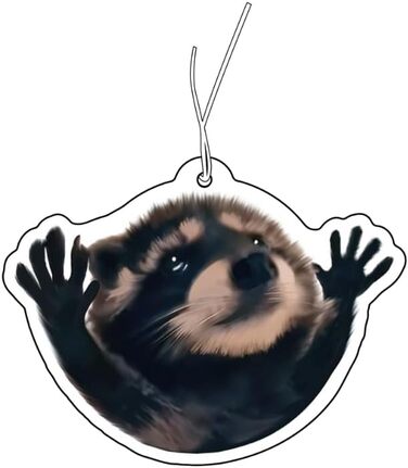 Ароматизатор з мотивом Єнот Педро, дозатор ароматизаторів для автомобіля, ароматизатор для тюнінгу автомобіля, освіжувач повітря,